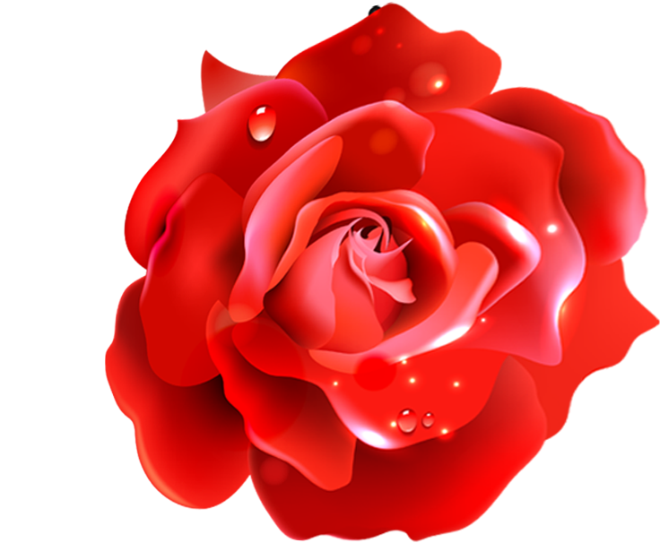 Shampoo Capelli Scalp Hair Garden Roses - Shampoo Capelli Scalp Hair Garden Roses (800x800)