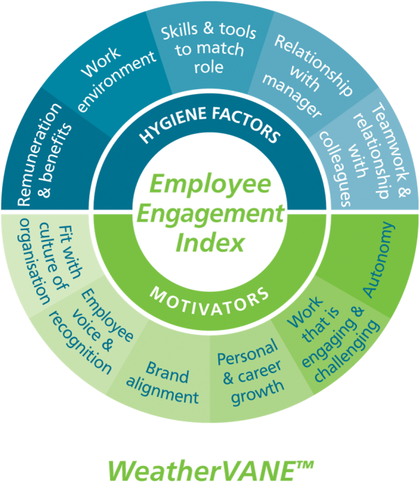 Weathervane V2 600 - Nhs Connecting For Health (600x699)