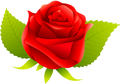 1974 Yılında İzmir'in Ödemiş Ilçesinde 800 M² Alanda - Garden Roses (500x352)