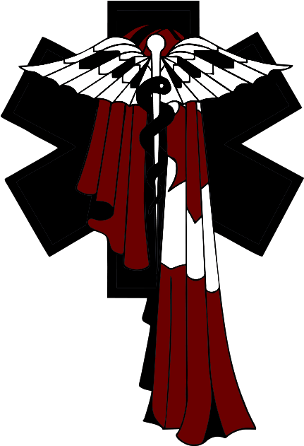 Pin It On Pinterest - Fallen Paramedic (451x676)