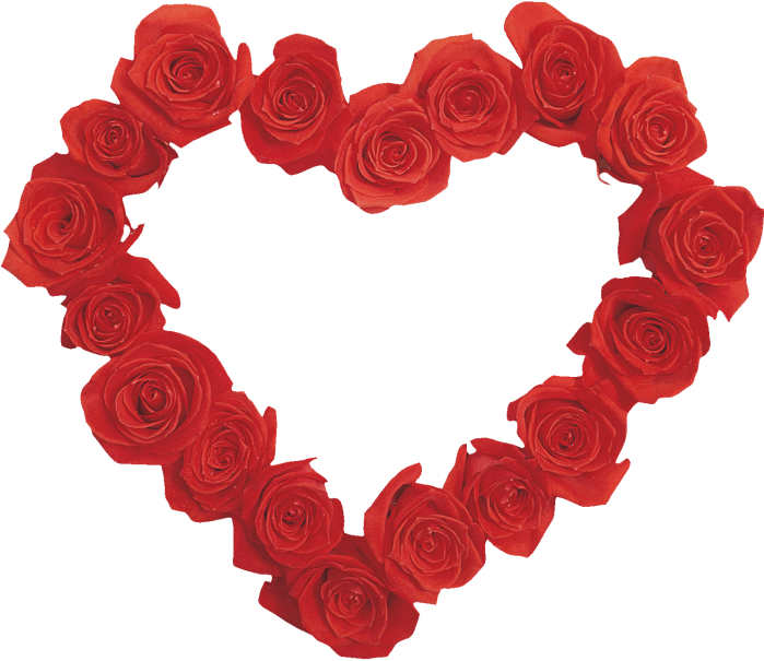 Garden Roses Heart Valentine's Day Clip Art - Garden Roses Heart Valentine's Day Clip Art (699x605)