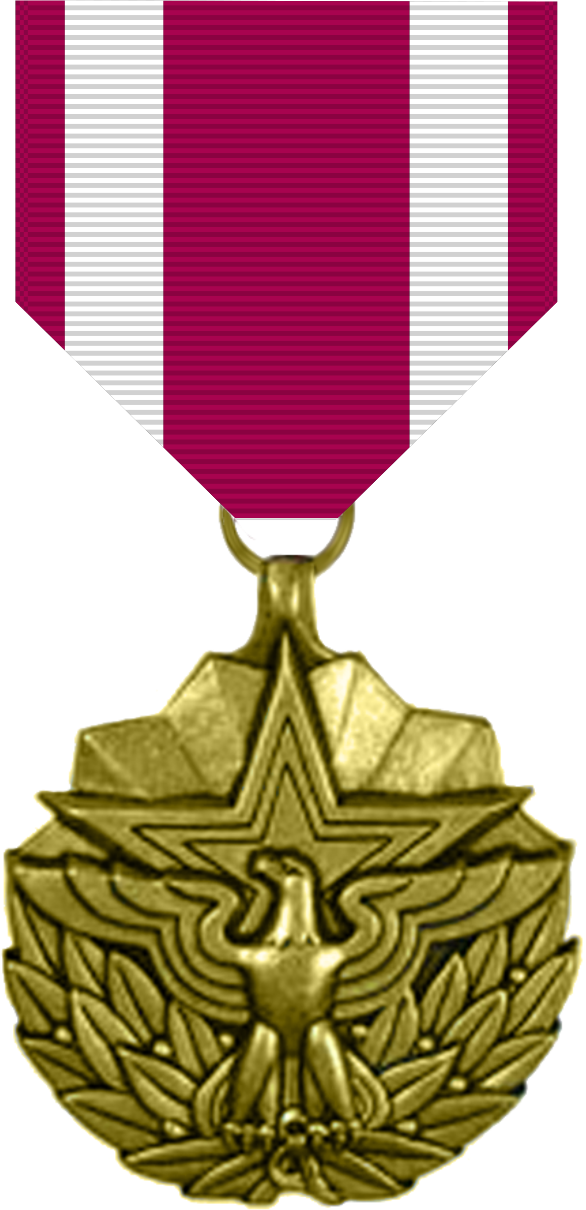Air Force Meritorious Service Medal (1200x2462)