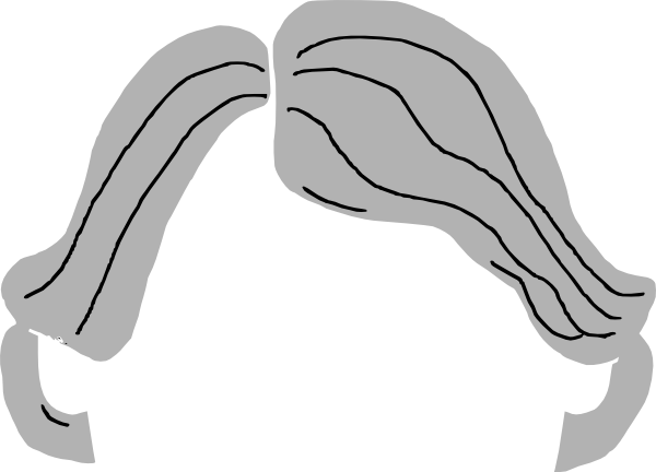 Gray Hair Clipart Old Woman Hair Png 600x432 Png Clipart Download