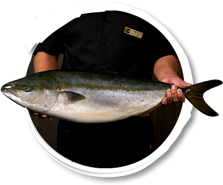 Prevnext - Catfish (478x523)