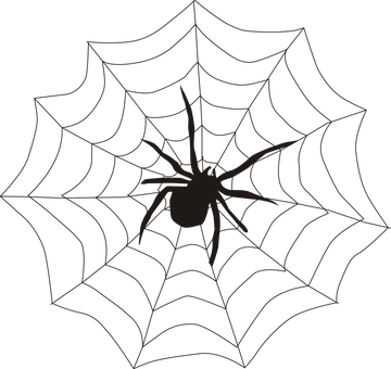 Spider Spider's Web Spiderweb Cobweb Creep - Spider On Web Clipart (360x340)