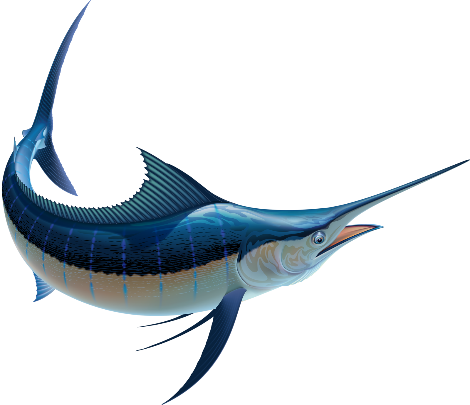 Яндекс - Фотки - Marlin Fish Illustration (1600x1380)