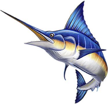 Endereço E Dados Da Empresa - Atlantic Blue Marlin (383x357)