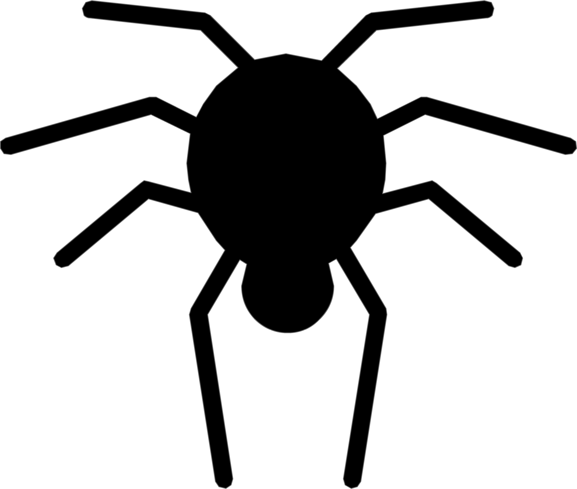 Dangly Spider - Insect (1885x1599)