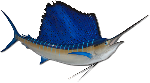 Sail Fish Blue Marlin - Fishing Boat (648x360)