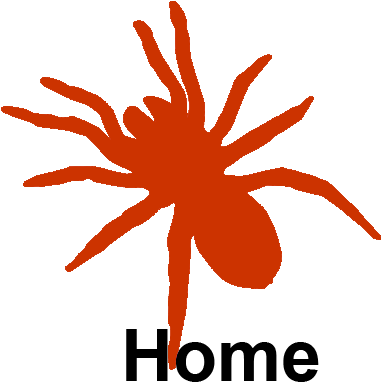 Key To Australian Freshwater And Terrestrial Invertebrates - Illustration (500x500)