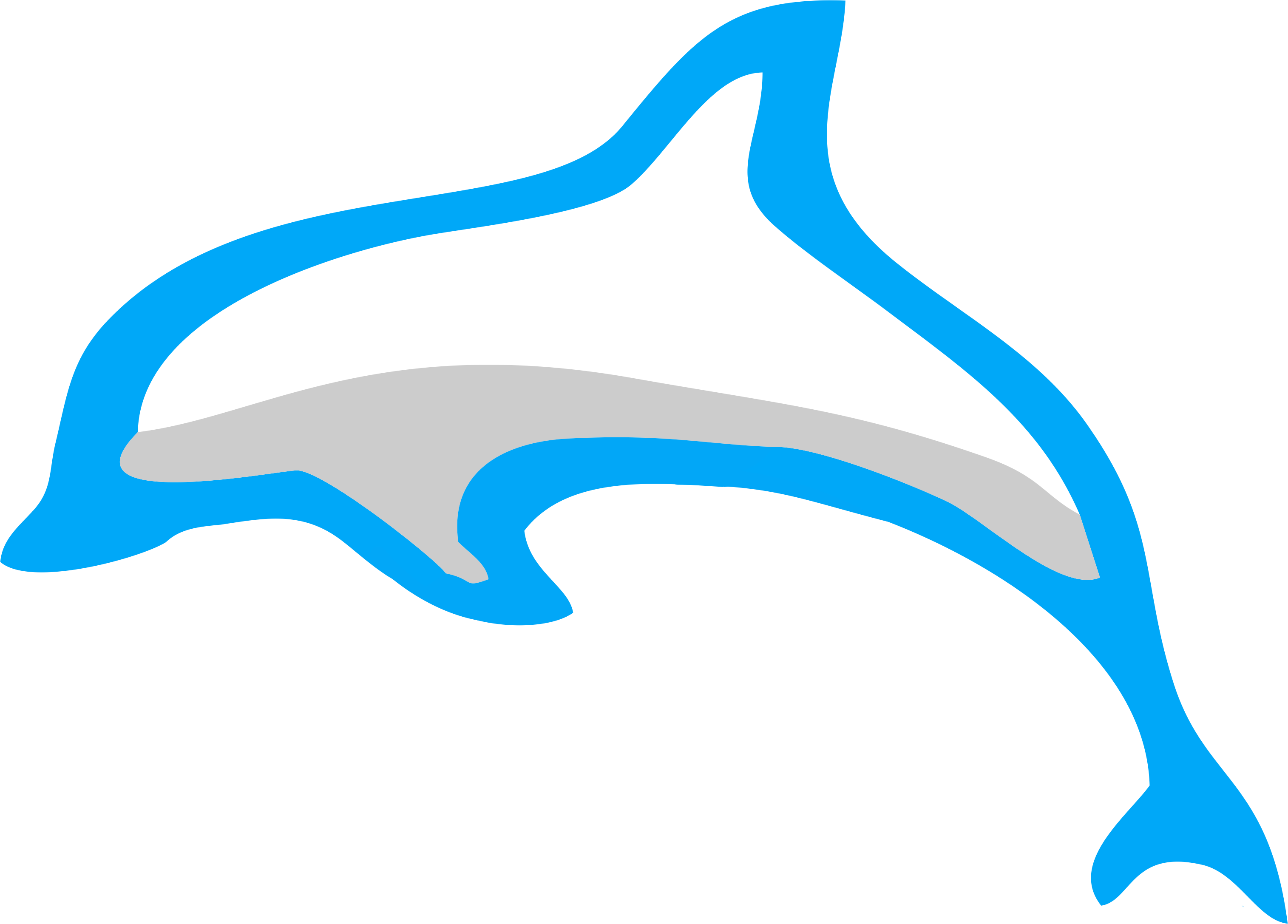 Acompanhe As Novidades - Golfinho Png (3030x2174)