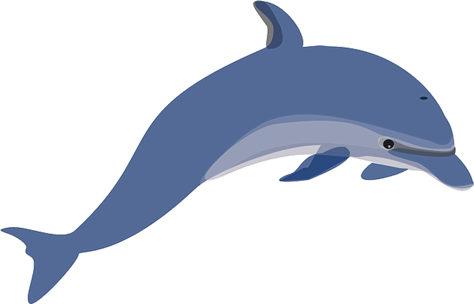 Golfinho Em Png - Dolphin Clipart (1024x768)