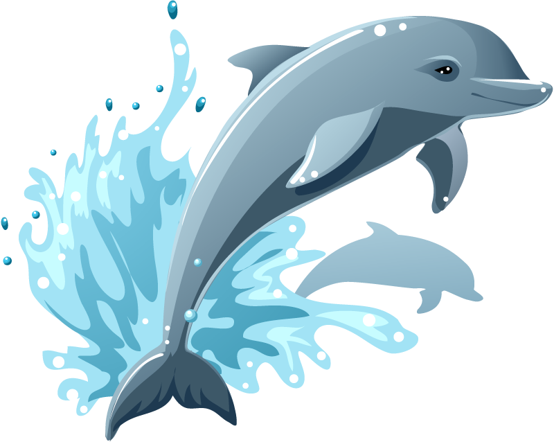 Cartoon Dolphin Vector Illustration - Cartoon Images Of Dolphins (800x638)