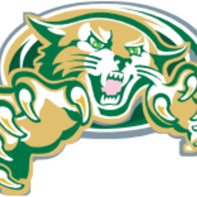 Great Bridge High School Football - Wildcat Throw Blanket (400x400)