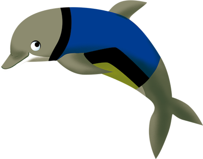 Dolfi, O Golfinho - Common Bottlenose Dolphin (800x800)