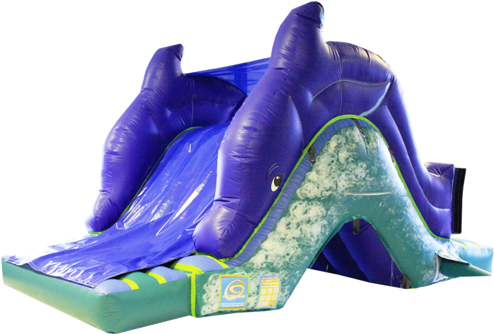 Escorrega Golfinho Duplo - Inflatable (854x570)
