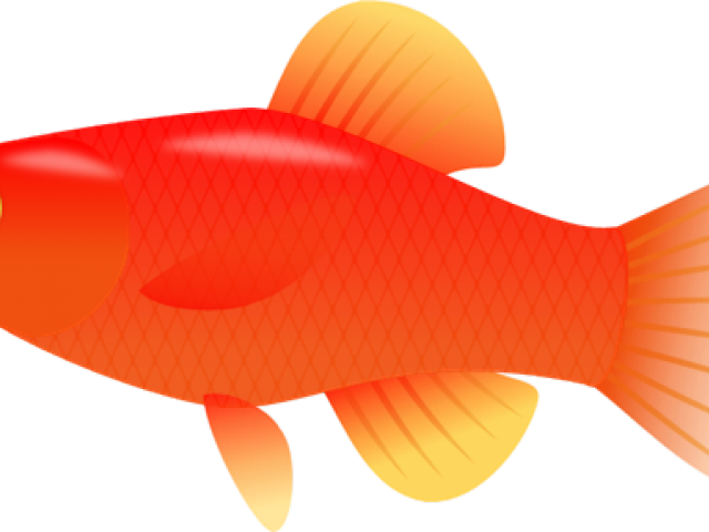Fish Clipart Clear Background - Snapper (640x480)