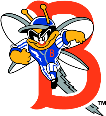 Binghamton Mets - Binghamton Mets (357x389)