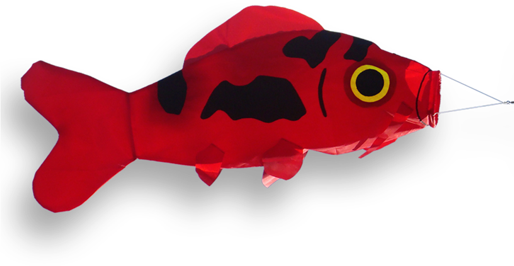 51114 Windsock Koi Fish Poisson Vis - Manche À Air De Jardin Carpe Koï Didakites (1000x703)