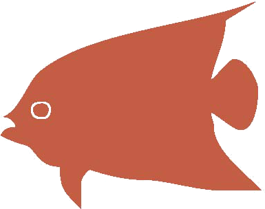 Garibaldi (fish) (480x402)