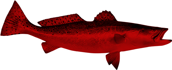 Draught - Redfish (600x256)
