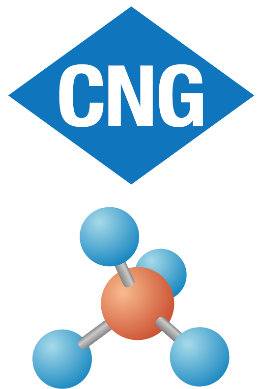 Learn About Trustar Energy's Cng Stations - Cng (550x800)