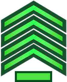 General Directorate Of Public Security- Sergeant First - Public Security (422x576)