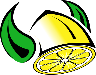 Our - Lemonade (404x318)