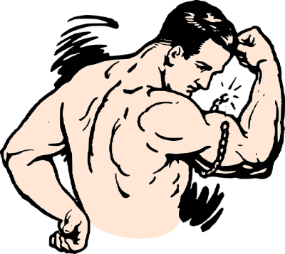Muscles Clipart (400x357)