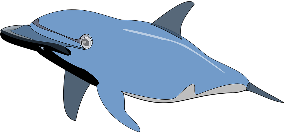 Marine Fish Clipart Ikan Pencil Color 6 Kartun Animasi - Dolphin Clip Art (960x480)