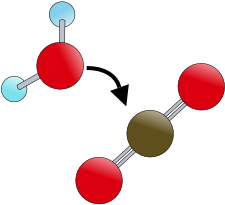 Bicarbonate Ion - Ping Pong (666x218)