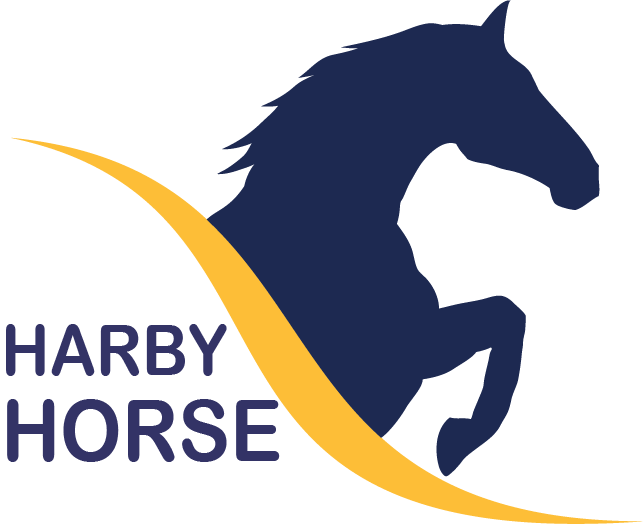 Harby The Horse - Horses Of Lost Valley (643x524)