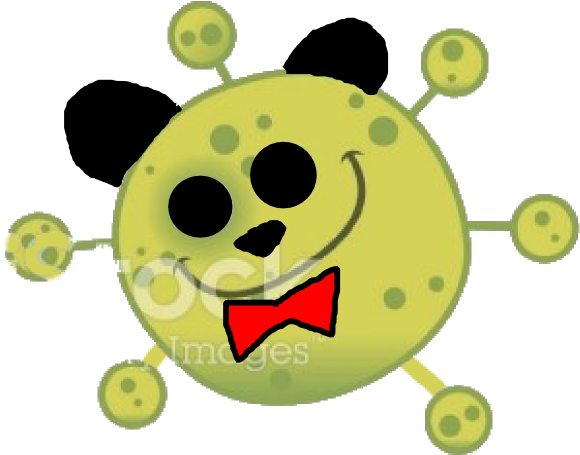 Baby Einstein Mozart The Bear - Baby Einstein Baby Mozart Good (600x483)