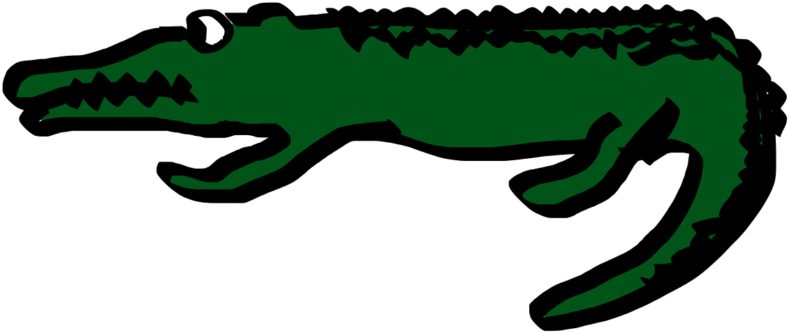 Crocodile Alligator Cartoon Png Image - Krokodil Tecknad (1280x960)