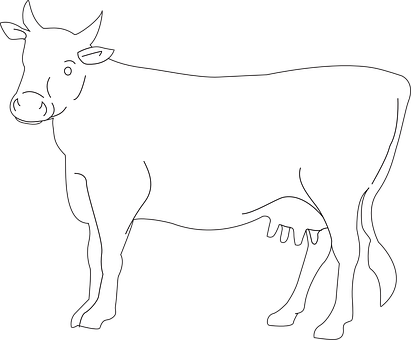 Cow, Cattle, Livestock, Farm, Animal - Cow Drawing Side View (411x340)