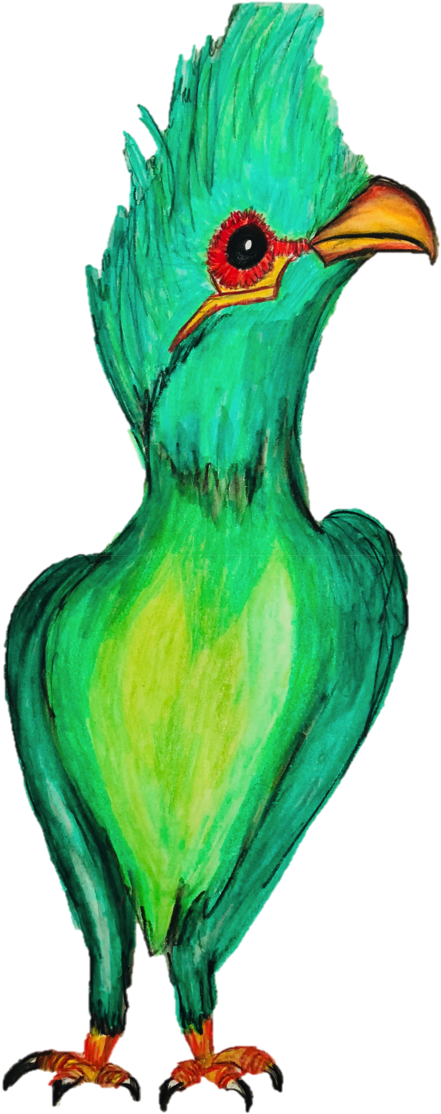 Slimming Green Organic Tea Bird Tea - Organic Food (844x1125)