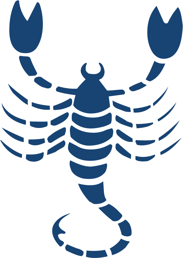 Scorpio Zodiac Symbol Png Transparent Picture - Scorpio: Zodiac Sign Journal, Notebook, Diary, 6"x9" (947x947)