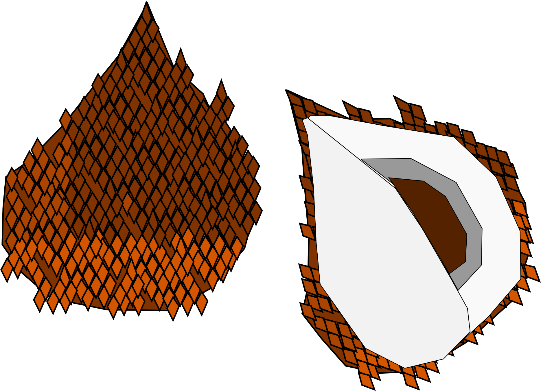 Salak Fruit Citrus Clip Art - Salak Fruit Citrus Clip Art (2400x1697)