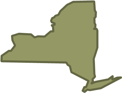 New York's Lgbt Policy Tally - New York City (483x385)