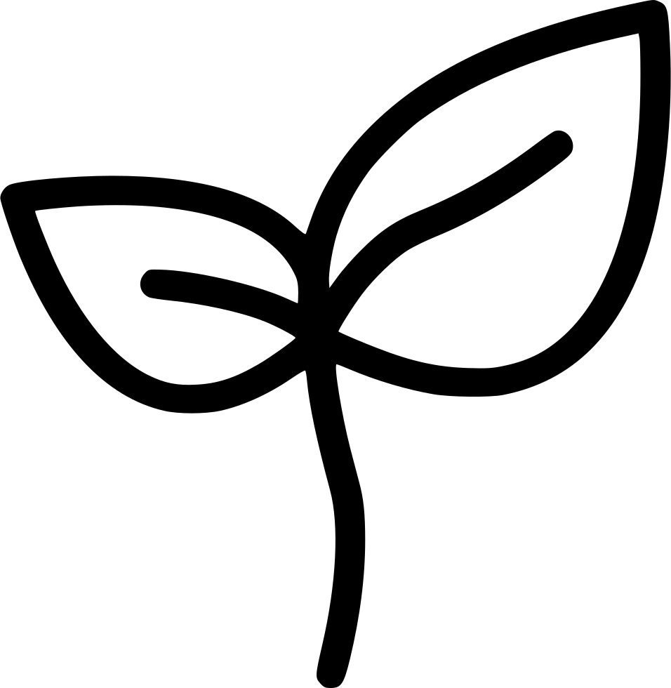 Nature Green Sprout Plant Comments - Free Sprout Png (956x980)