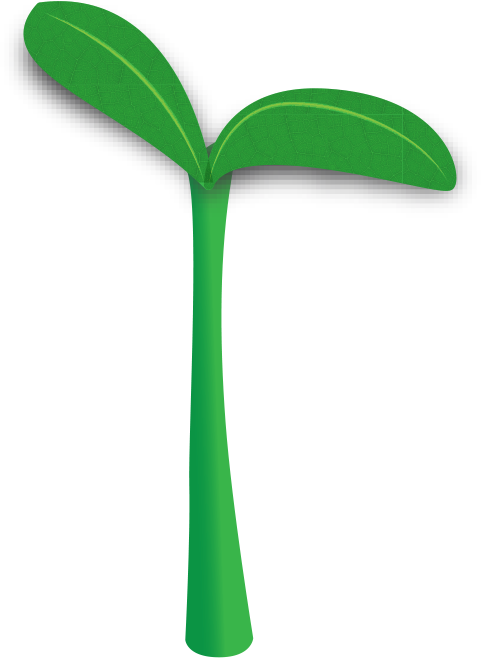 Other Insurances May Be Accepted That Do Not Require - Grass (481x658)