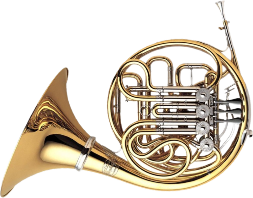 Image - French Horn (807x631)