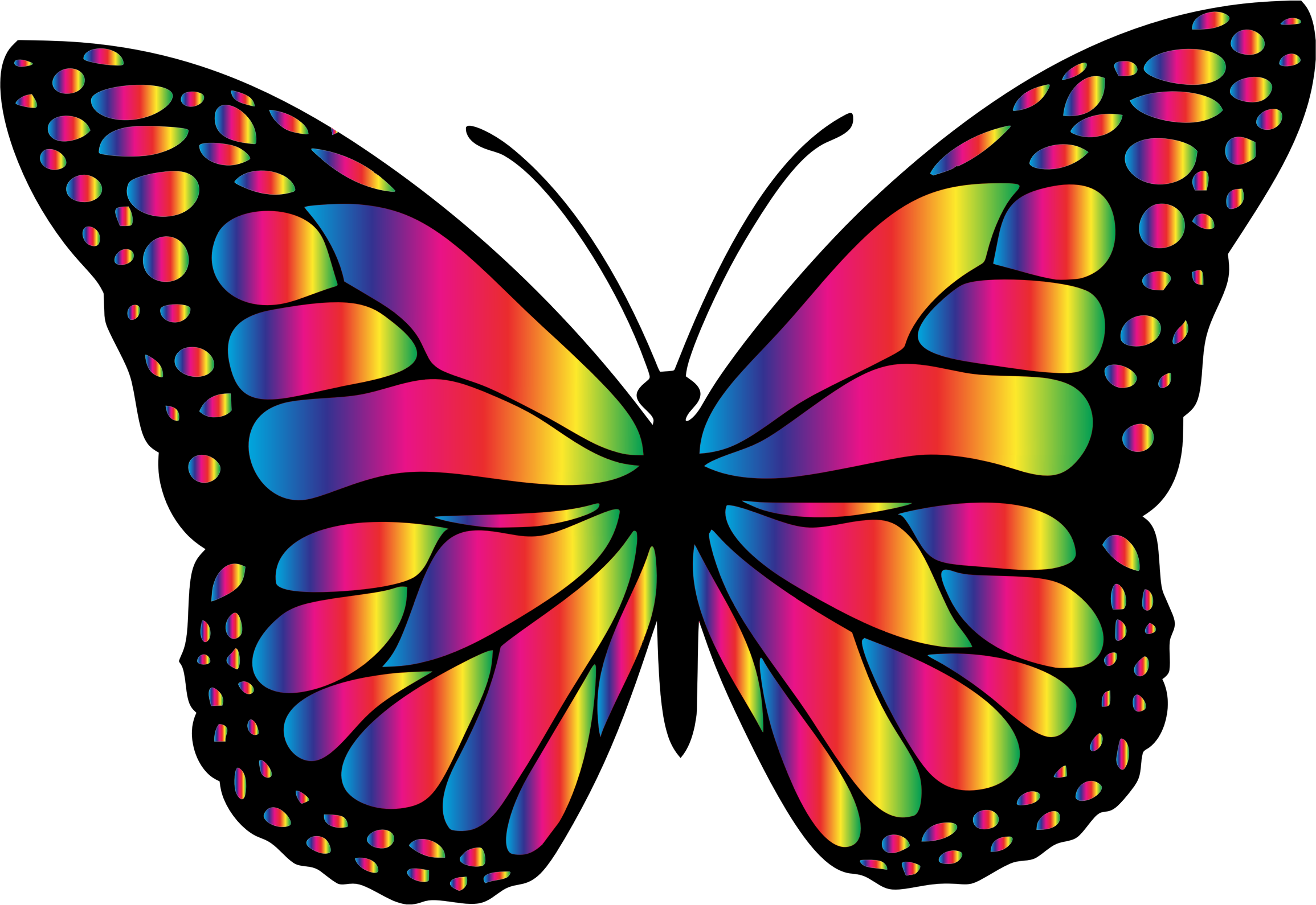 Monarch Butterfly 2 Variation 9 - Fashiontats Metallic Gold Black Monarch Temporary Jewelry (2310x1590)
