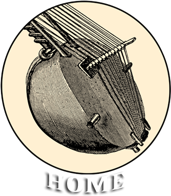 Gourd Music Is Now On - Head Lice Life Cycle (364x393)