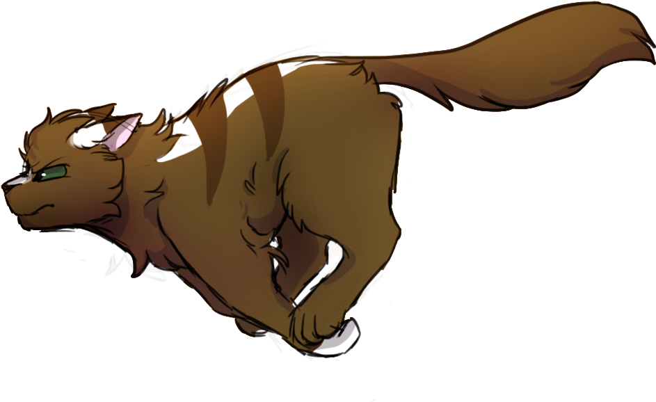 Run By Please Be Careful - Hog Nosed Skunk (1106x604)