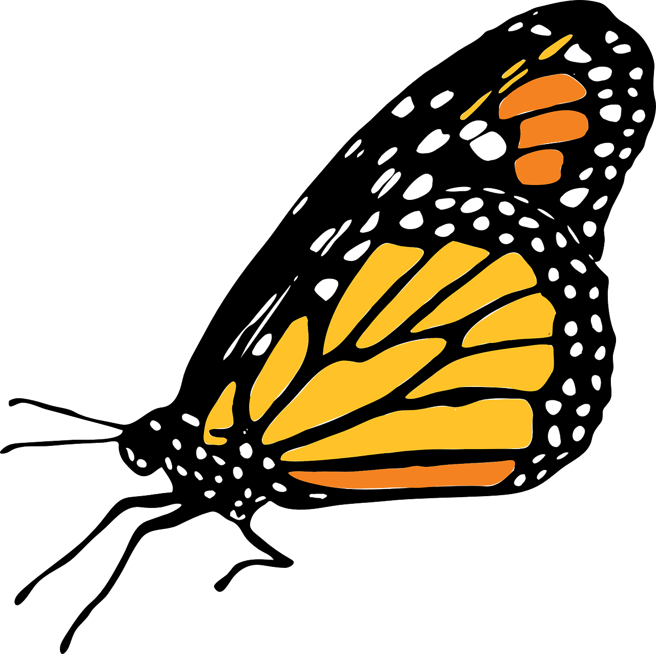 Monarch Butterfly Clip Art - Mariposa Monarca Png - (1280x12