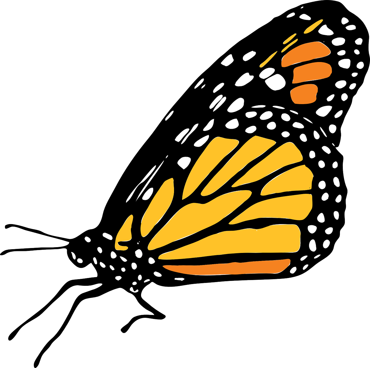 Monarch Butterfly Clip Art - Mariposa Monarca Png (1280x1276)