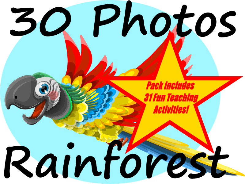 Cover Image - Cartoon (800x600)