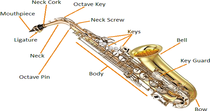 Adjusting Screws For Left And Right Hand Sections - Yamaha Yas-200ad Alto Saxophone (750x400)