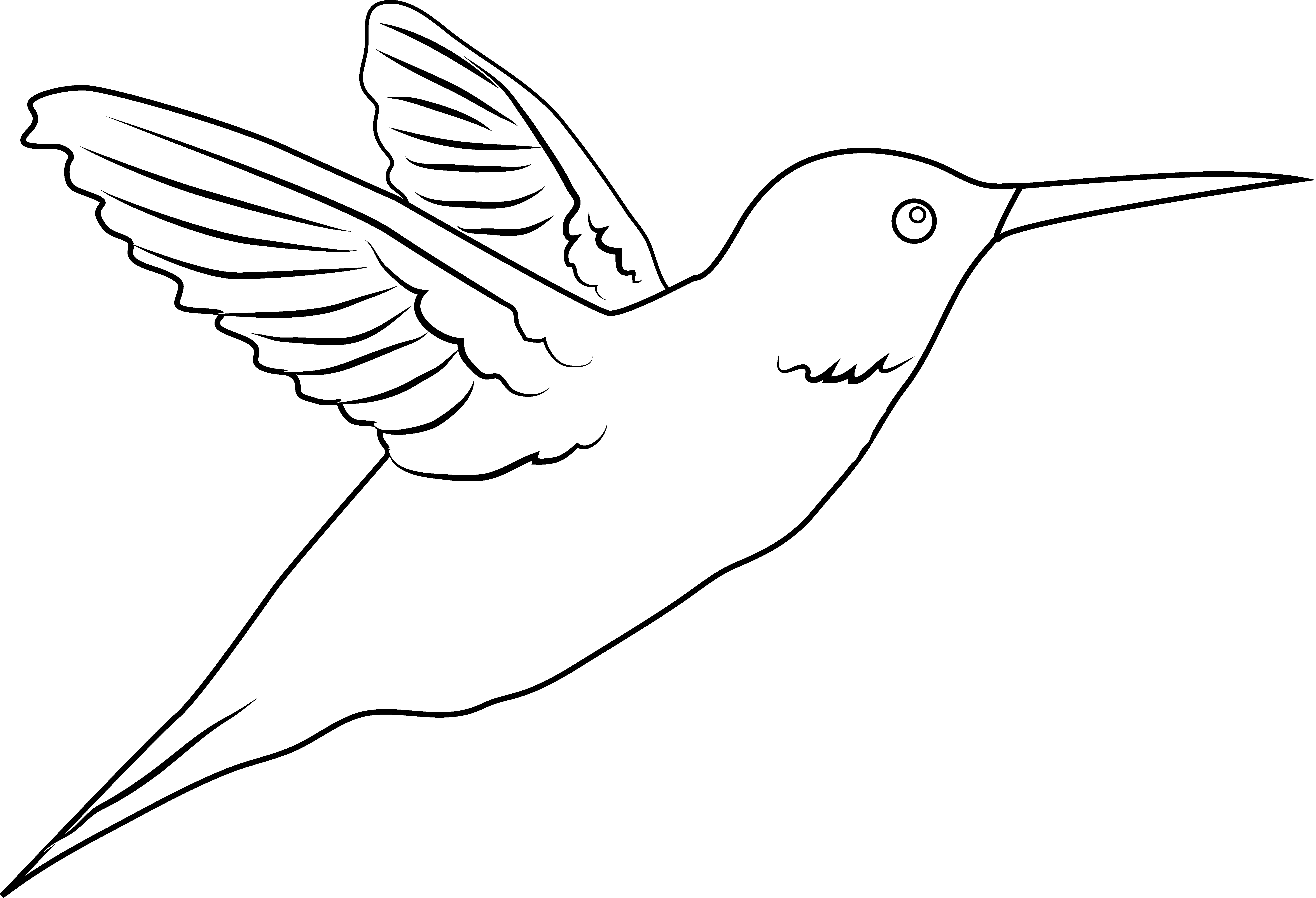 Picture Of Hummingbird Silhouette Clip Art Medium Size - Transparent White Hummingbird (6017x4108)